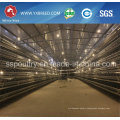 H Type Chicken Cages Poultry Equipment